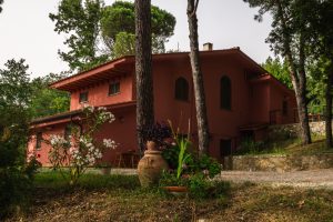 Piscina e Parco - Casa nel Verde - Agriturismo Poggio al Pino Toscana