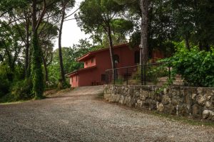 Piscina e Parco - Casa nel Parco - Agriturismo Poggio al Pino Toscana