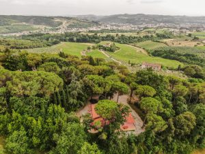 Piscina e Parco - Parco e Appartamenti dall'alto - Agriturismo Poggio al Pino Toscana