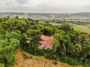 Piscina e Parco - Appartamenti nel Parco con Drone - Agriturismo Poggio al Pino Toscana