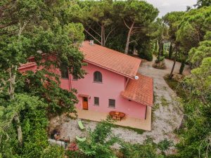 Piscina e Parco - Appartamenti nel Parco con Drone - Agriturismo Poggio al Pino Toscana