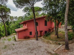 Piscina e Parco - Appartamenti nel Parco - Agriturismo Poggio al Pino Toscana