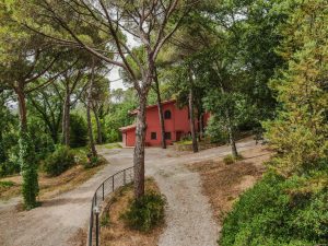 Piscina e Parco - Appartamenti nel Parco - Agriturismo Poggio al Pino Toscana