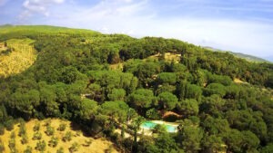 Piscina e Parco - Vista Aerea - Agriturismo Poggio al Pino Toscana